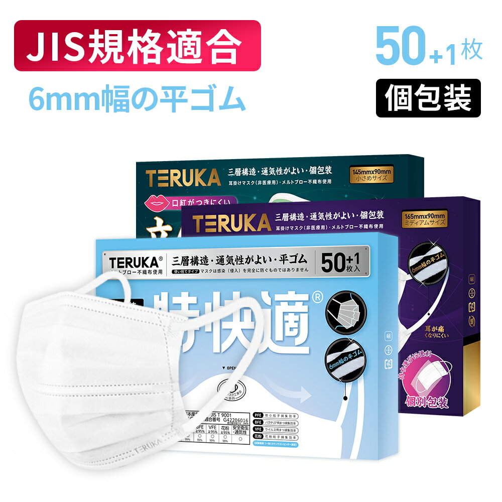 【JIS規格適合】TERUKA マスク 立体型 ホワイト ブ