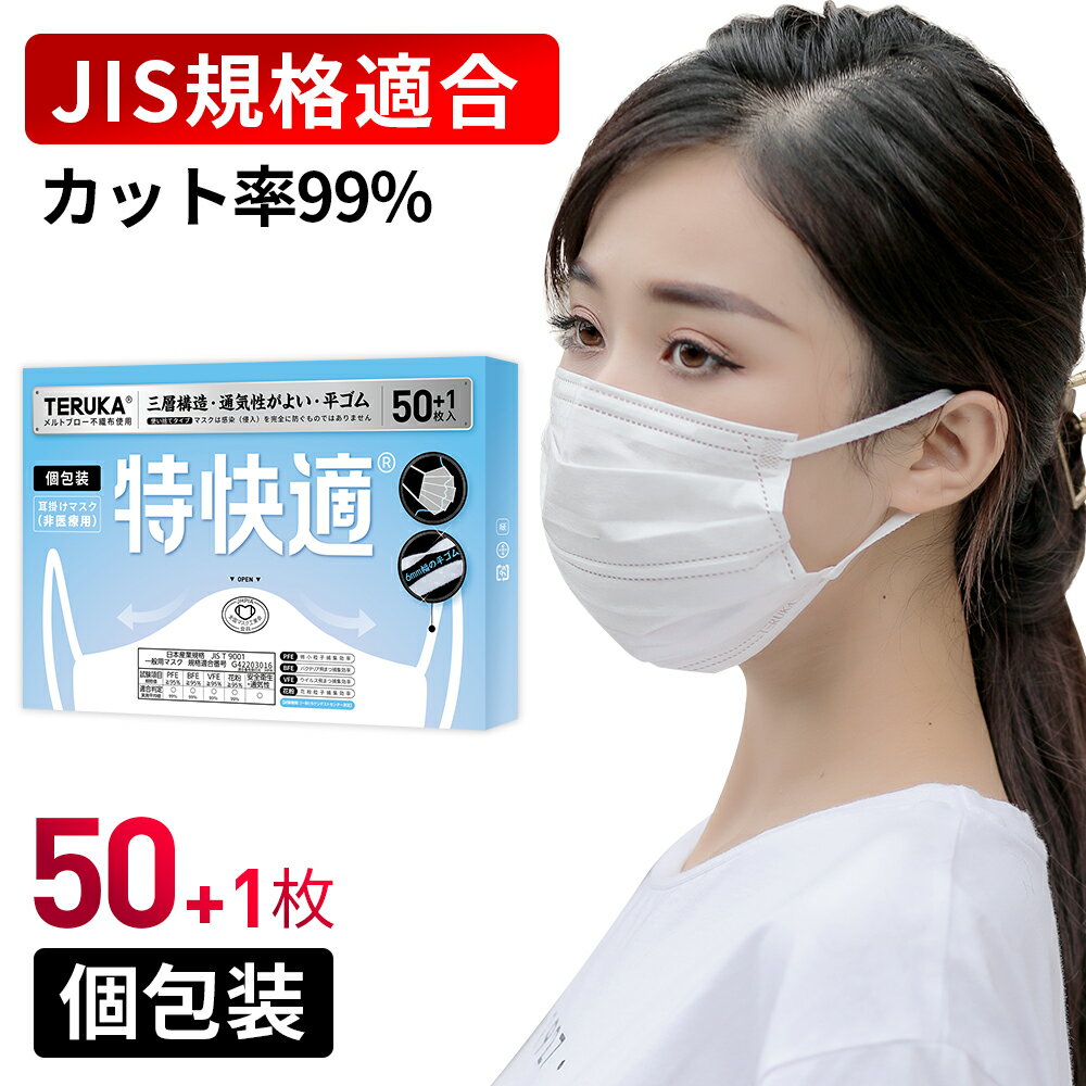 【JIS規格適合】TERUKA マスク 50枚+1枚 個包装 175mm 165mm 145mm 大人用 女性用 男性用 不織布マスク メルトブロー不織布 フィルター..