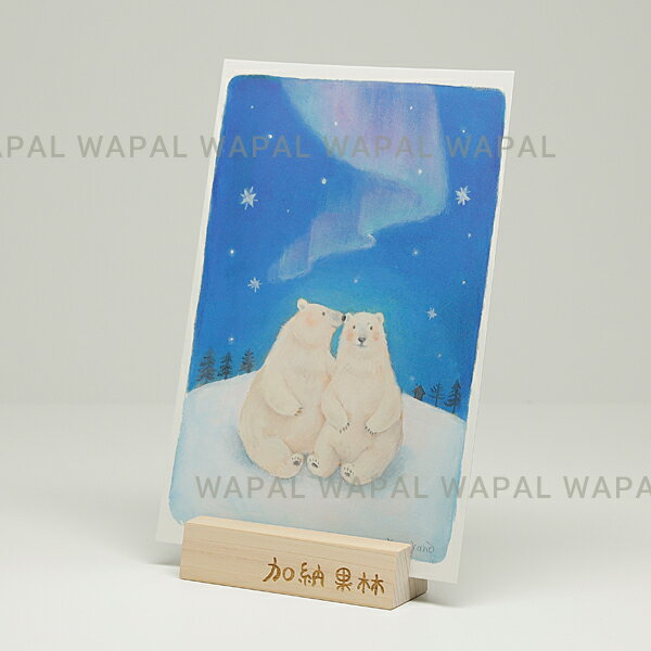 ポストカード おしゃれ かわいい 「オーロラ記念日」 ハガキ デブ猫ちゃん 絵本作家 かのうかりん 加納果林 karin-post-070