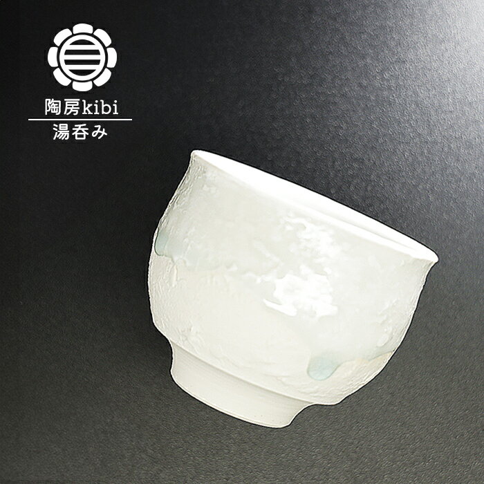 ƫ˼kibiΥץ饹ݤߤΥᥤ