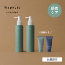 【数量限定】Waphyto スキャルプローション 2本セット 頭皮ケア 頭皮 化粧水 スカルプケア スカルプ 頭皮マッサージ 頭皮用ローション 頭皮用化粧水 保湿 乾燥 ハリ コシ 白髪 かゆみ 臭い レディース メンズ 女性 男性 ワフィト