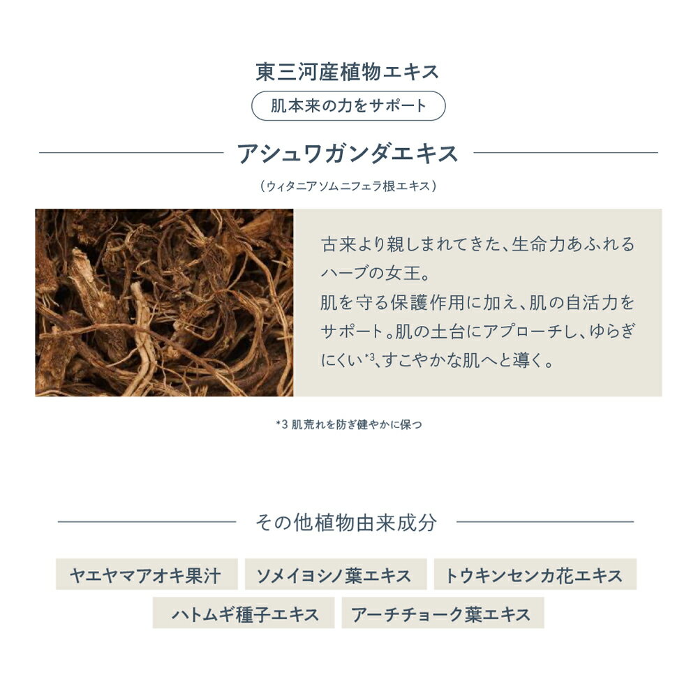 【公式】Waphyto レジェナ トナー 145mL 化粧水 とろみ レチノール しっとり ハリ ...