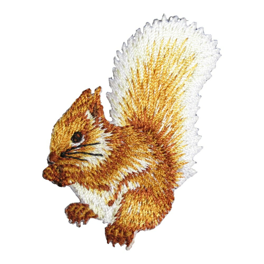アイロンワッペン 刺繍 動物 アニマル 11 リス 縦6cm 横3.8cm