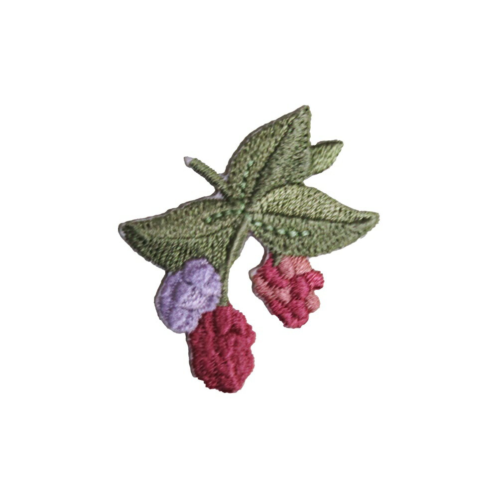 Rakuten - アイロンワッペン 刺繍 植物 ラズベリー 縦4cm 横3.7cm