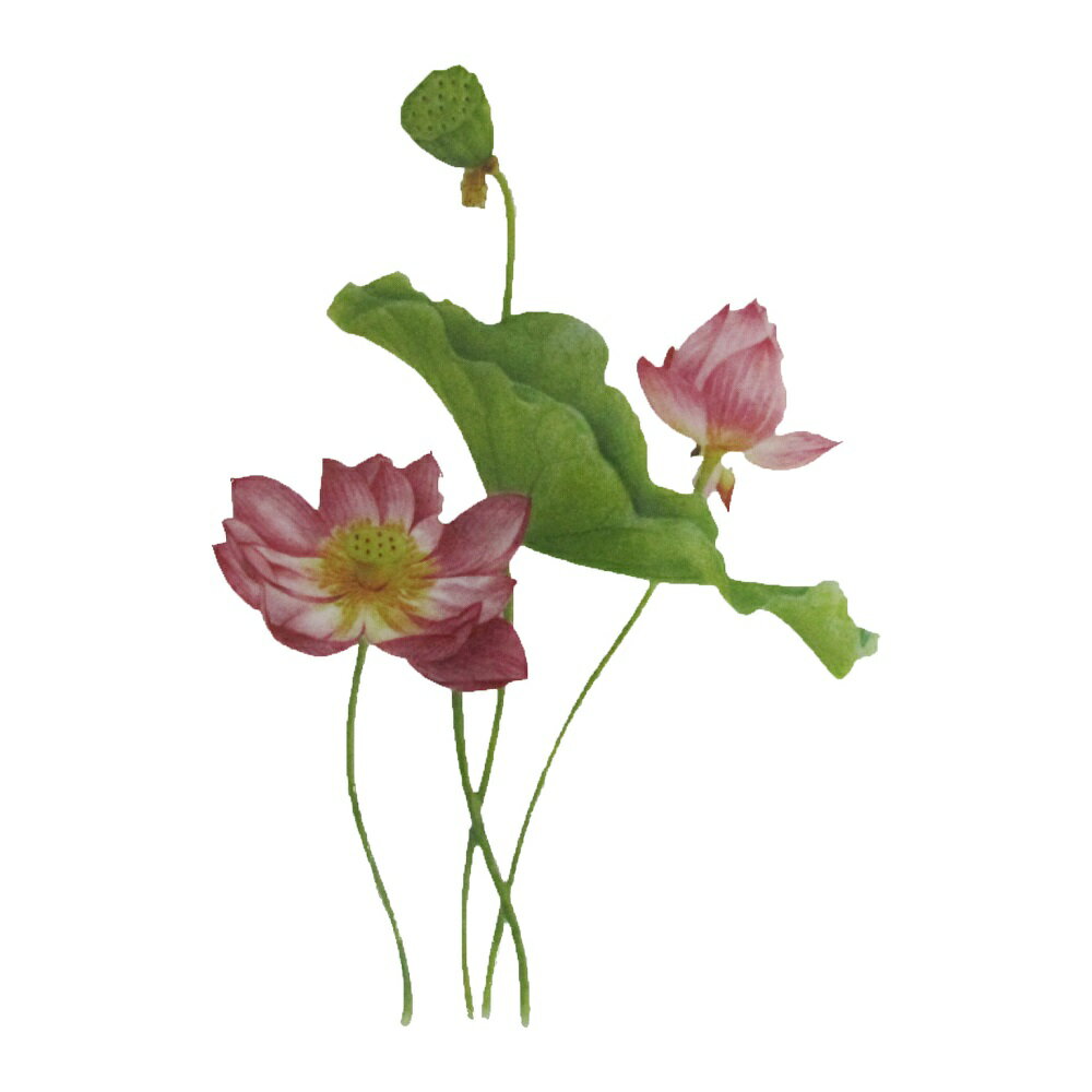 Rakuten - アイロンプリントシート 58 花 縦24cm 横17cm