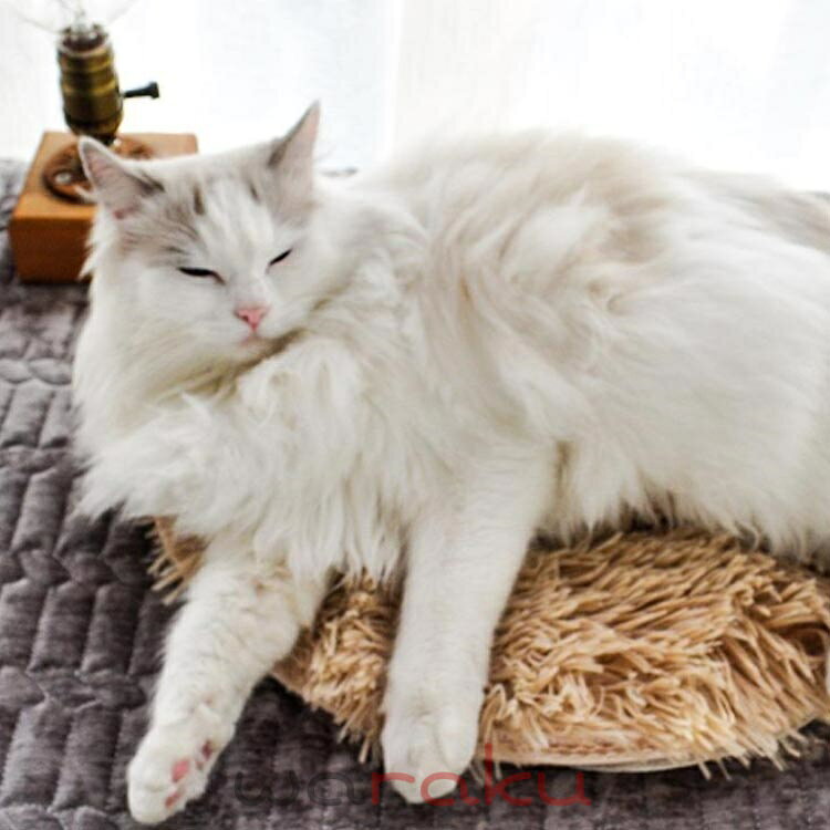 ヒーターマット ホットマット ホットカーペット...の紹介画像3