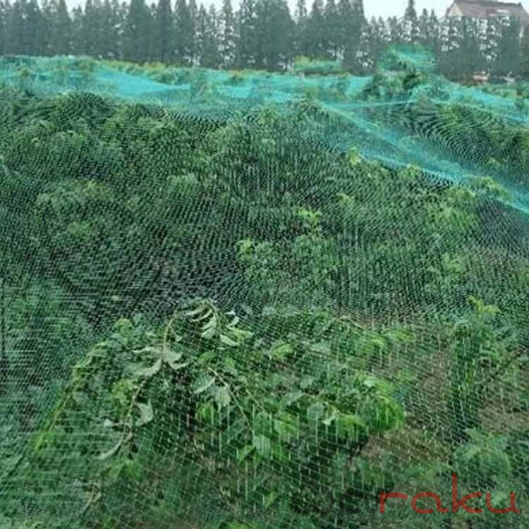 長さ約10m 防鳥防蝶ネット 5m おてがる蝶鳥ネット 直がけ防鳥網 細かい目合いでも超軽量農園芸用資材 果樹用 カラスよけネット 果樹栽培にピッタリ 送料無料 防鳥防蝶ネット 長さカット可能 果樹用 2