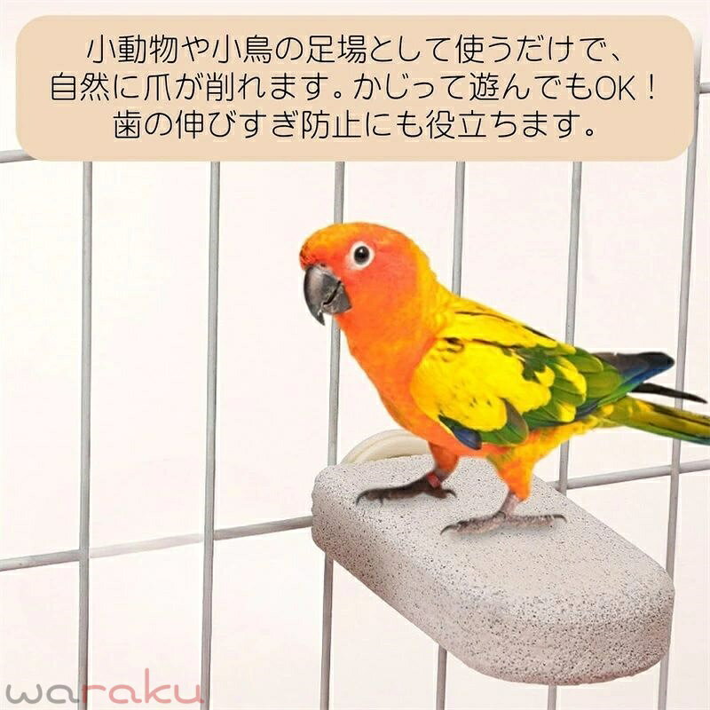 ���� �ϥॹ���� �޸��� �ǥ��� ��ưʪ ���ƥå� ���� �������� Ļ �ߤޤ��� ������ �ϥ�ͥ��� �ե������� ������� �������