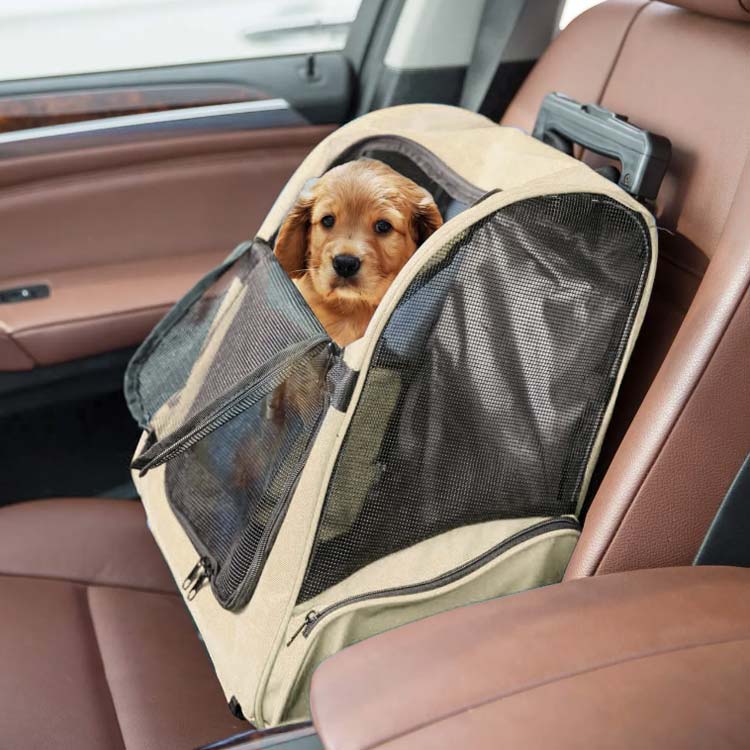 ペットバッグ ペットハウス キャリー 持ち手 キャスター付き 小型犬 ペットキャリー お出かけ ペットカート 手提げ キャリーリュック リュック 旅行 折りたたみ メッシュ 窓 ペットキャリーバッグ 中型犬 猫 ペットキャリー 車 ドライブ お散歩 防災 災害 避難