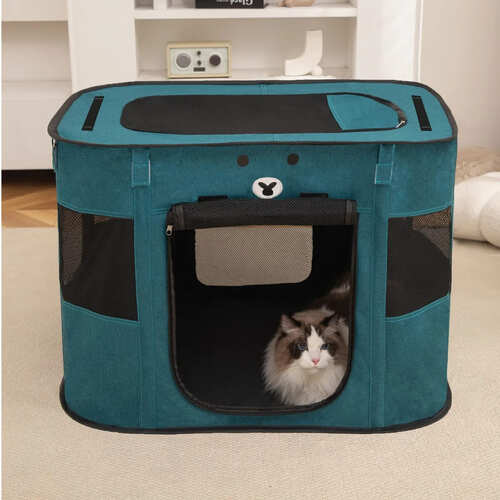 ペットゲージ 90cm グリーン かわいい 顔 プリント 折りたたみ メッシュ 通気性 遊び場 キャンプ ペット用品 グッズ アクセサリ 犬 小型犬 猫 子猫 動物 おしゃれ 室内 屋外 安全 災害 避難所 防災グッズ ケア 介護 トラベル 持ち運び