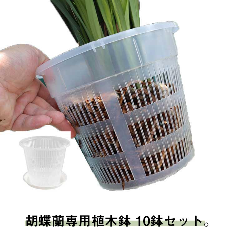 樂天商城 - 10鉢セット 胡蝶蘭 植木鉢 育苗ポット 透明 穴付き 屋内 屋外 胡蝶蘭の植え替え 鉢 プラスチック 蘭の鉢 オーキッドポット オーキッドプランター 観葉植物 植木鉢 多肉植物 洋蘭 胡蝶蘭 プランター 保育園ポット 直径11cm/直径14cm/直径16cm