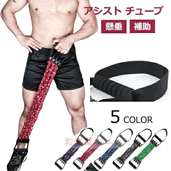 アシストバンドシステム 調節可能なアンチスナップチンアップアシスタンス 伸縮性レジスタンスバンド 懸垂器具 チンニング 筋トレ チューブ懸垂バーつかない