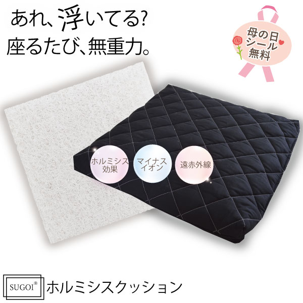 【日本イオン協会認定】すごい シートクッション 約40×40×6cm ホルミシス効果 遠赤外線効果 E-CORE 3D構造 新エアー素材 高反発 硬め 洗える 通気性 ラドン浴 ラジウム 鉱石 岩盤浴 体圧分散 日本製 綿100％ 玉川温泉 ギフト プレゼント