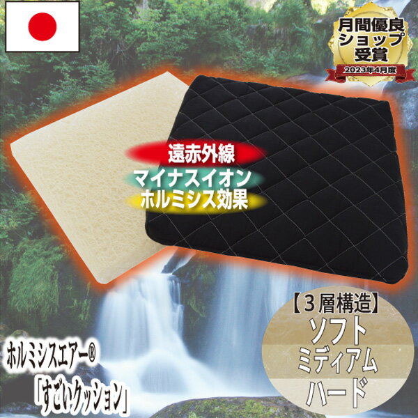 [NEW]マイナスイオン値3倍！【日本イオン協会認定】 すごい シートクッション 約40×40×5cm 3D構造 通気性抜群 防カビ 防ダニ 遠赤外線効果 ホルミシス効果 バードガシュタイン ラドン浴 ラジウム 鉱石 北投石 岩盤浴 体圧分散 日本製 綿100％ 洗える 玉川温泉ラドン