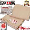 【ランキング1位受賞】防災毛布 一流メーカー 【1枚:1.0kg:シングル:140×200cm】災害用 難燃性 備蓄 毛布 （新商品 フリース毛布）真空パック 有名メーカー 織り毛布 防炎掛け毛布 【10枚セット】 防災ブランケット 防災グッズ 防災 保温 災害 グッズ 暖かい