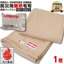 【ランキング1位受賞】防災毛布 一流メーカー【1枚:1.0kg:シングル:140×200cm】災害用 難燃性 備蓄 毛布 （新商品 フリース毛布）真空パック 有名メーカー 織り毛布 防炎掛け毛布防災ブランケット 防災グッズ 防災用具 保温シート 災害 グッズ 手洗い可 暖かい