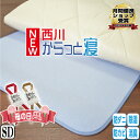 ★楽天1位★ 母の日【西川 正規品】ふとん除湿シート セミダブル 約110×180cm 除湿マット 西川 調湿シート 吸湿シート 吸湿マット からっと寝 湿気取...