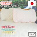 【日本イオン協会認定】寝つきが変わる! すごいホルミシス枕パッド 43×63cm 日本製 お家で岩盤浴 遠赤外線 マイナスイオン ホルミシス効果 椅子用クッショ...