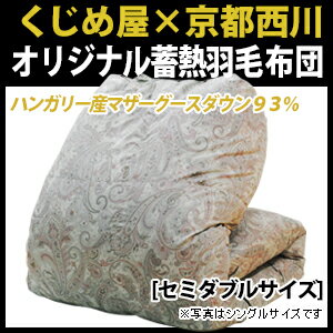 【送料無料】【羽毛布団セミダブル】ハンガリー産シルバーマザーグース93%・蓄熱羽毛布団【セミダブル:170×210cm】【西川】【掛け布団】【日本製】【RCP】
