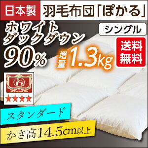 エクセルゴールドラベル・ぽかる羽毛布団【シングル:150×210cm】◆カナダ産ホワイトダウン90%!【羽毛布団シングル】【羽毛掛け布団】【羽毛ふとん】【羽毛布団送料無料】【smtb-MS】