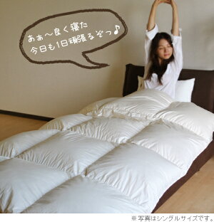 エクセルゴールドラベル・ぽかる羽毛布団【クィーン:210×210cm】◆カナダ産ホワイトダウン90%!【羽毛布団クィーン】【羽毛掛け布団】【羽毛ふとん】【羽毛布団送料無料】【smtb-MS】