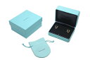 【極美品】 TIFFANY ティファニー タイタン by ファレル・ウ...(4)