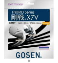 商品詳細画像　ゴーセン(GOSEN)【メーカー取寄せ商品 発送日5〜7日程度】 SS507ゴーセンX7Vロイヤルブルー SS507RB更新日時：2024年3月25日19時※購入が可能な場合でも、商品購入（在庫確保）を保証するものではございません。お急ぎのお客様は、お手数ですがあらかじめ在庫のお問い合わせをお願いいたします。