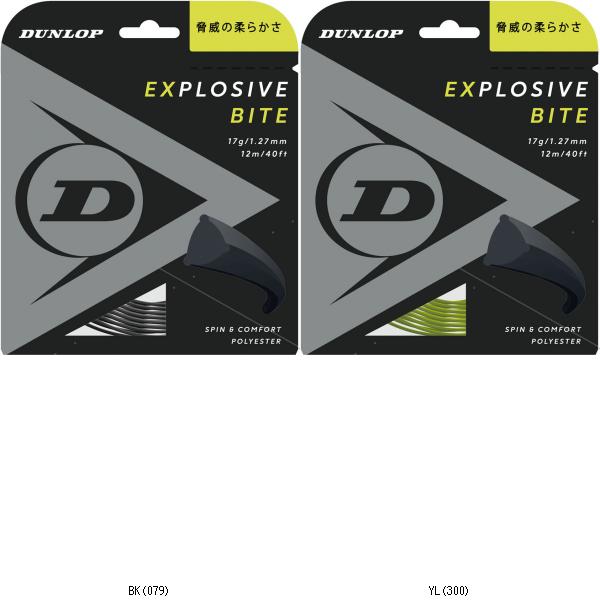 ダンロップテニス DUNLOP EXBITERLDST12011 DST12011 テニスコウシキガツト