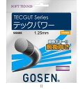 ゴーセン GOSEN テックガット テックパワー ナチュラル SS605NA テニスソフトガット