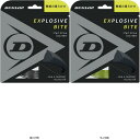 ダンロップテニス DUNLOP EXBITESTDST11011 DST11011 テニスコウシキガツト レビューを書いて送料無料企画(4)