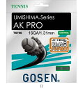 ゴーセン GOSEN ウミシマAKプロ16BK TS706BK テニスコウシキガツト レビューを書いて送料無料企画