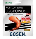 ゴーセン GOSEN エッグパワー16オレンジ TS100OR テニスコウシキガツト レビューを書いて送料無料企画