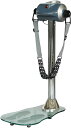 ダイコー DAIKO ベルトバイブレーター DK302C ボディケアキグ