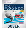 ゴーセン GOSEN テックガット5300 NA SS603NA テニスソフトガット