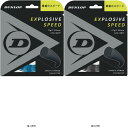 ダンロップテニス DUNLOP EXSPDRLDST12021 DST12021 テニスコウシキガツト(4)