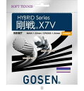 ゴーセン GOSEN SS507ゴーセンX7Vロイヤルブルー SS507RB テニスソフトガット レビューを書いて送料無料企画