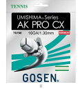 ゴーセン GOSEN TS760 ウミシマAKPROCX16 NA TS760NA テニスコウシキガツト