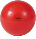 ダンノ DANNO ギムニク30 レッド C-20 D5610R 学校器機キグ(4)