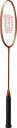 ウィルソン Wilson VERTEX300BMTNRKT2G5 WR154211S2 バドミントラケット