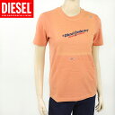 ディーゼル(DIESEL)レディース 訳あり 半袖Tシャツ オレンジ系 ロゴプリント (サイズ/S)*el0115
