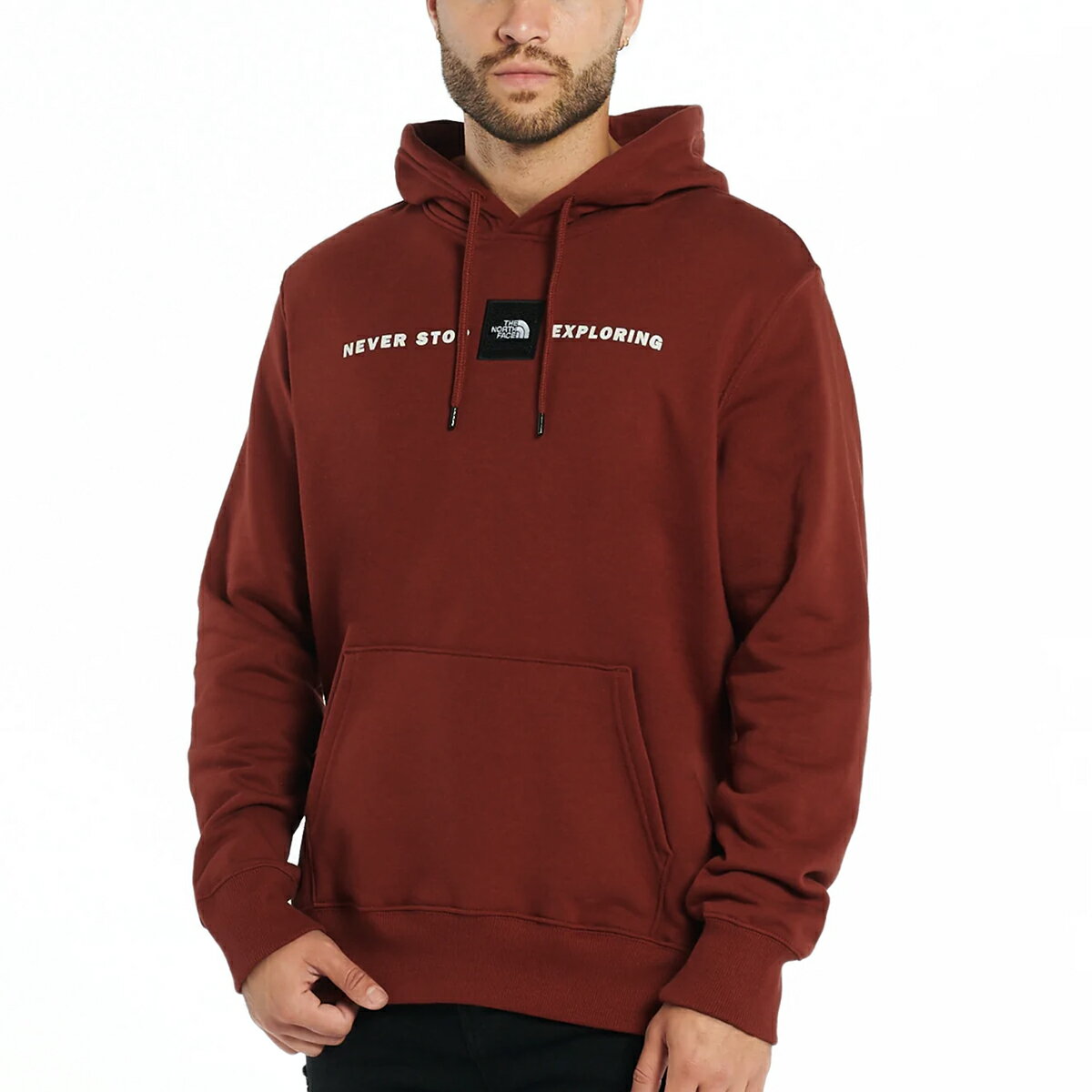 ザ・ノース・フェイス パーカー メンズ ザ ノースフェイス パーカー The North Face RED'S PULLOVER HOODIE パーカ レッド プルオーバー パーカー メンズ ボックスロゴ RED BOX パーカー ロゴ パーカ メンズ プルオーバー ノースフェイス パーカ ボックスロゴ レッズプルオーバーパーカー USA USA企画 海外限定