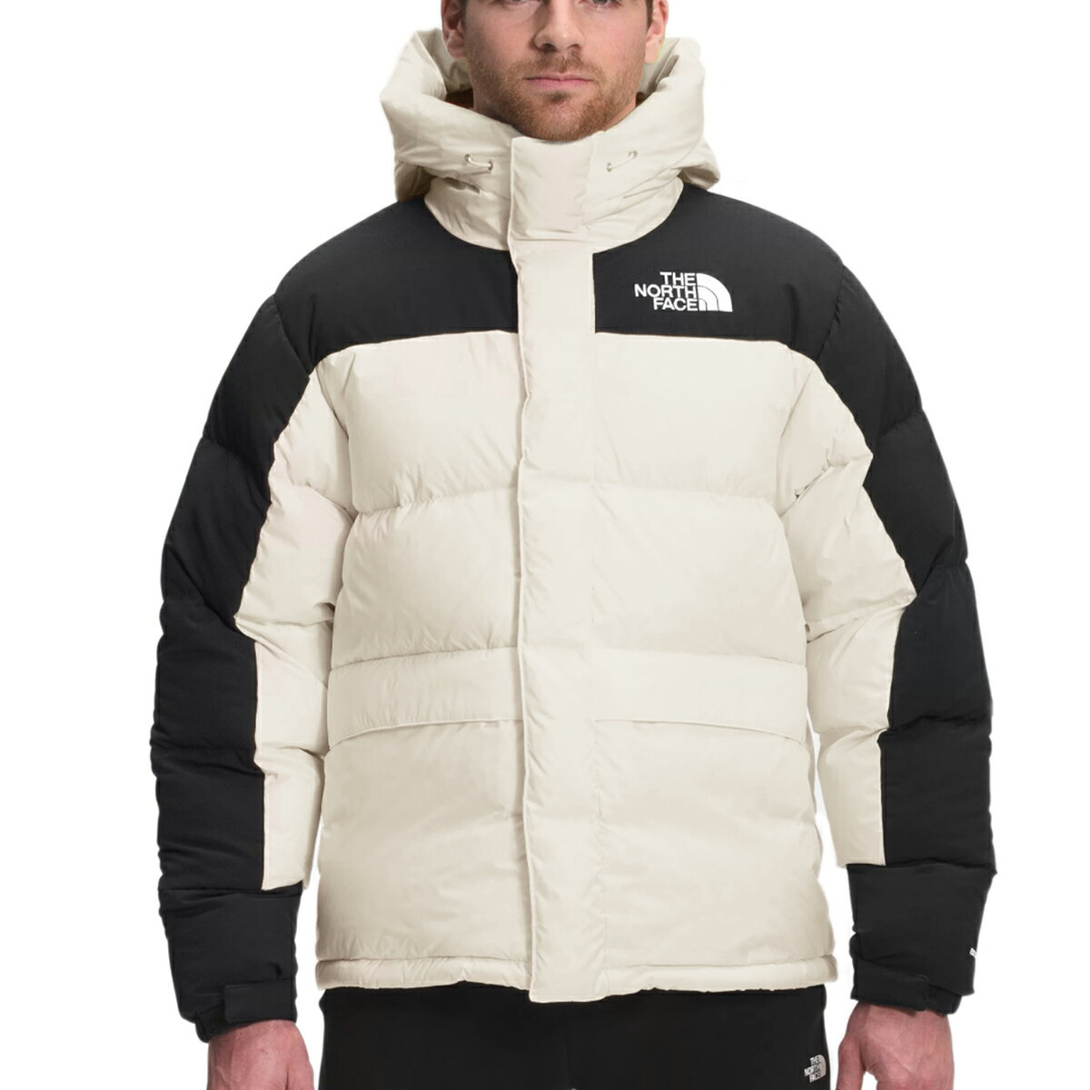 ザ ノースフェイス ダウンジャケット メンズ The North Face HIMALAYAN DOWN PARKA JACKET ヒマラヤンダウン パーカー ジャケット ヒマラヤンダウンジャケット マウンテンジャケット ジャケット ダウン グースダウン ダウンジャケット 海外限定 550フィル DWR(撥水加工)