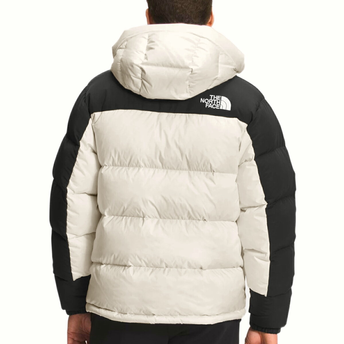 ザ ノースフェイス ダウンジャケット メンズ The North Face HIMALAYAN DOWN PARKA JACKET ヒマラヤンダウン パーカー ジャケット ヒマラヤンダウンジャケット マウンテンジャケット ジャケット ダウン グースダウン ダウンジャケット 海外限定 550フィル DWR(撥水加工)