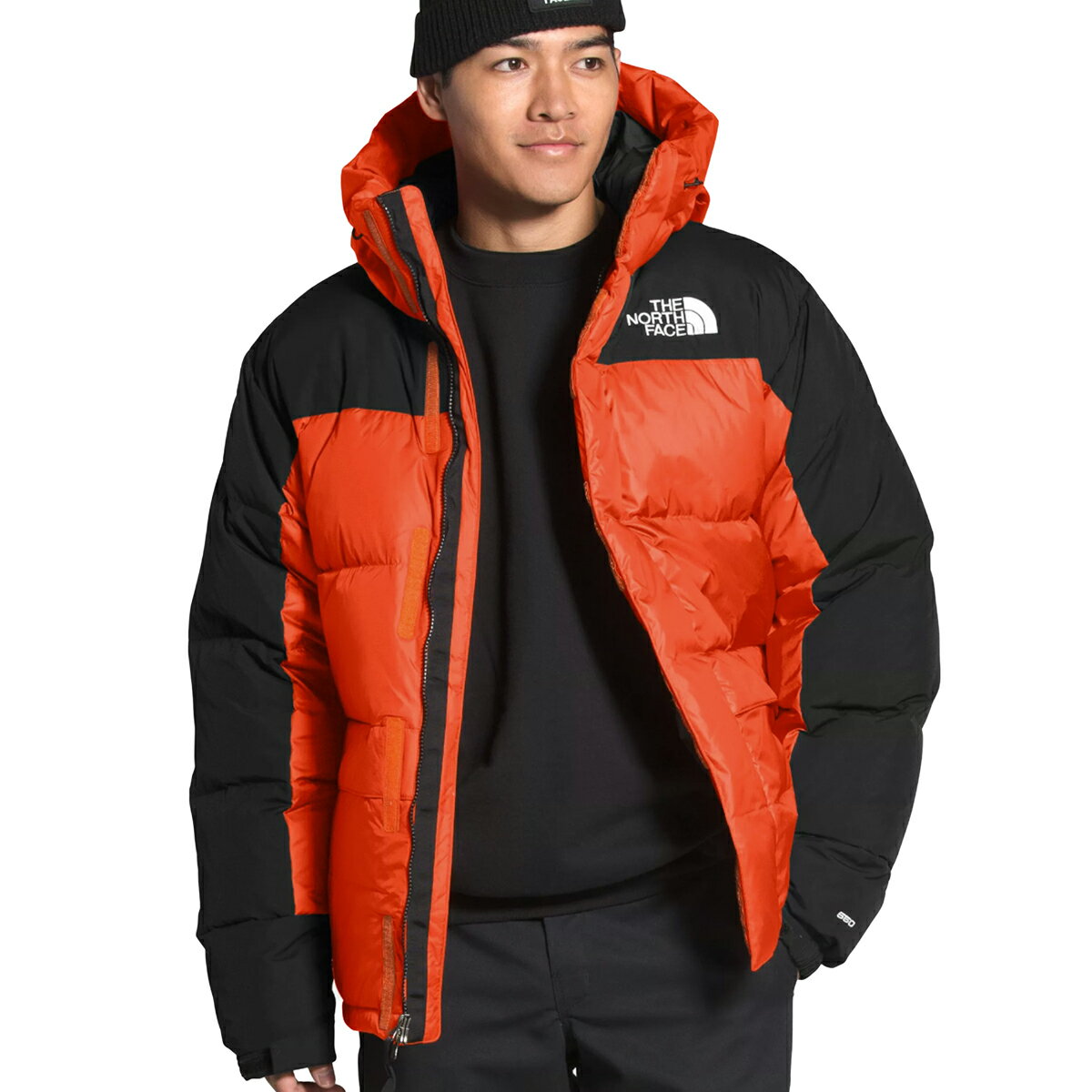 ザ ノースフェイス ダウンジャケット メンズ The North Face HIMALAYAN DOWN PARKA JACKET ヒマラヤンダウン パーカー ジャケット ヒマラヤンダウンジャケット マウンテンジャケット ジャケット ダウン グースダウン ダウンジャケット 海外限定 550フィル DWR(撥水加工)