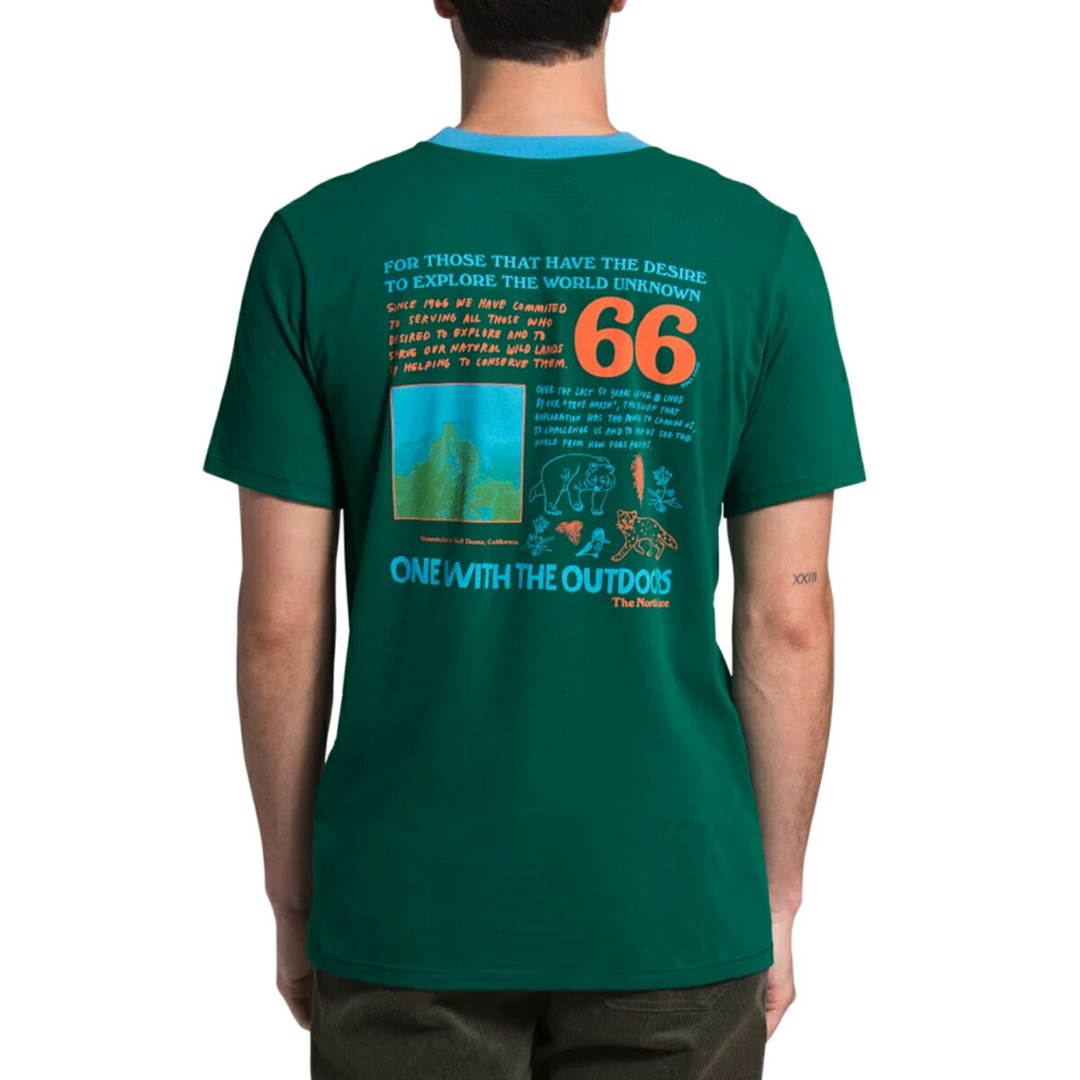 ノースフェイス Tシャツ The North Face ROGUE GRAPHIC S/S TEE 