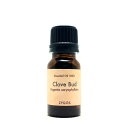 エッセンシャルオイル100% 10ml【クローブバッド】※業務用卸価格(4)