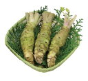 生わさびお徳用セット(約100g)
