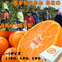 新店オープンセール! 数量限定 50%OFF! \ポイント10倍 早割/愛媛 みかん 信頼の【JA西宇和】 みなの 2.5キロ〜 L〜Sサイズ 【のし対応 】ギ...