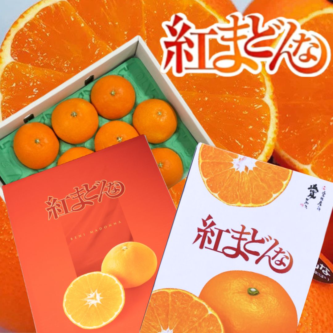 【高級贈答品】紅まどんな 愛媛県産 赤秀品 青秀品 約3キロ 10~15玉 化粧箱入り 【のし対応】 高級柑橘 高級贈答品 お歳暮 御歳暮 ギフト 贈り物 冬グルメ トップブランド 紅まどんな通販 紅マドンナ通販 JA西宇和 JAえひめ南 JAえひめ中央 みかん 蜜柑 マドンナ まどんな
