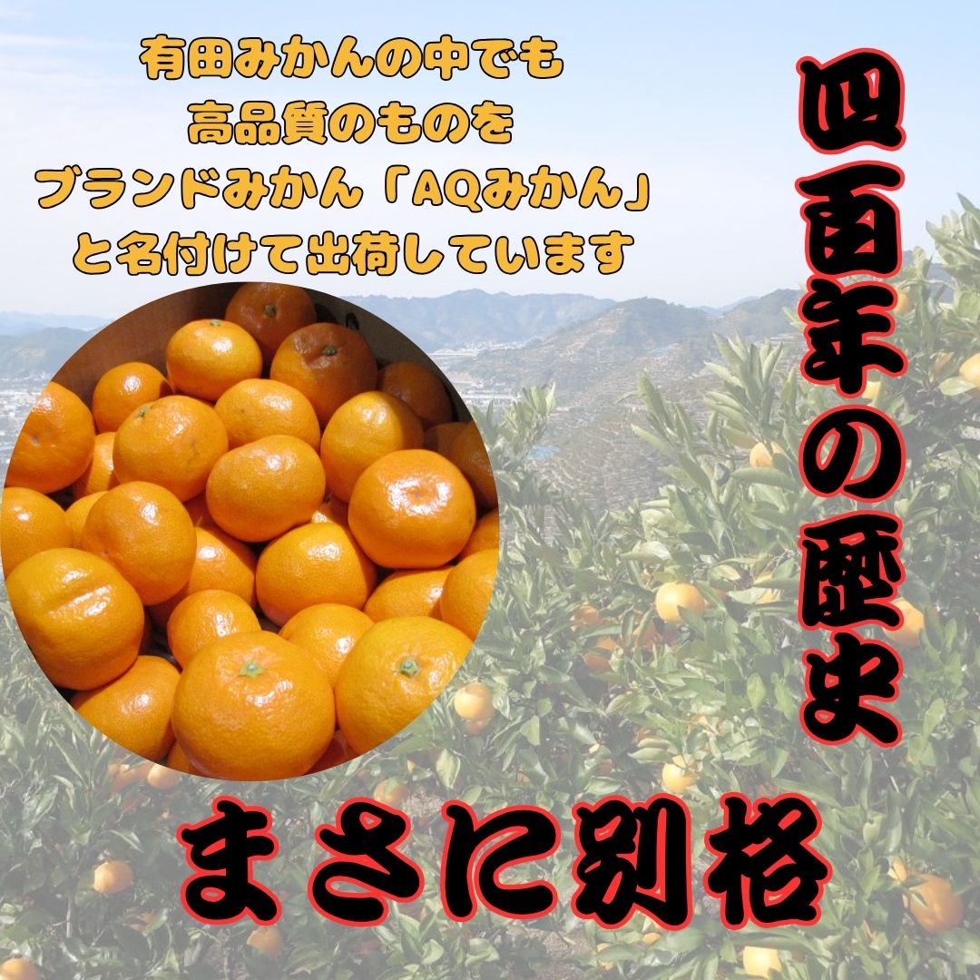 �²λ� �ߤ��� ͭ�Ĥߤ��� AQ�ߤ��� �ե롼�� ��ʪ �Ť� ���ޤ� ̪�� �ߤ��� �ߥ��� ����� ���ե� £��ʪ £���� ������ ��ǯ��